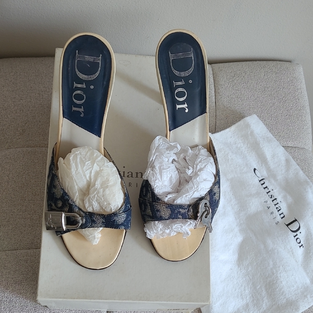 Dior Blue Mules with Elegant Design